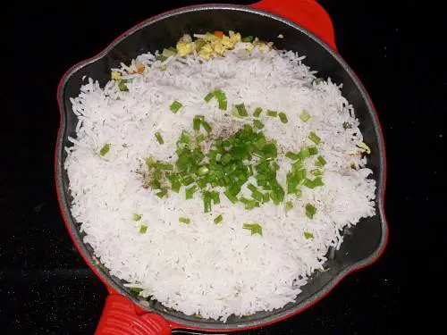 spring onions on rice