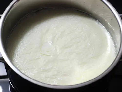 cream layer on milk