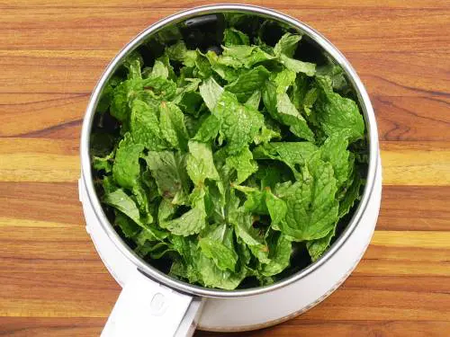 mint leaves in a grinder