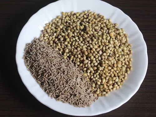 coriander and cumin seeds