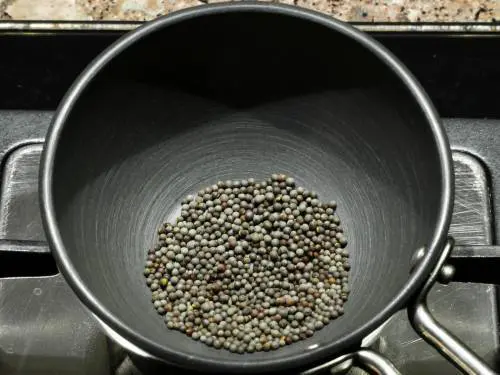 cooling mustard seeds