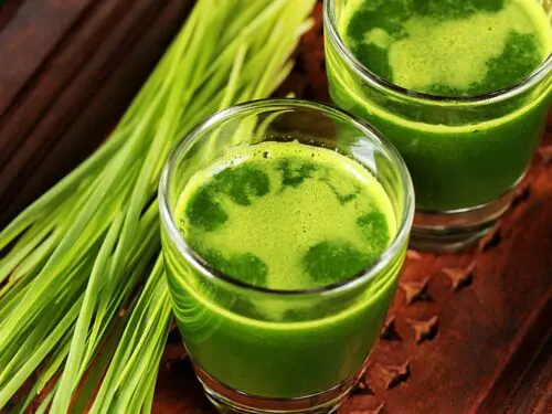 wheatgrass shots