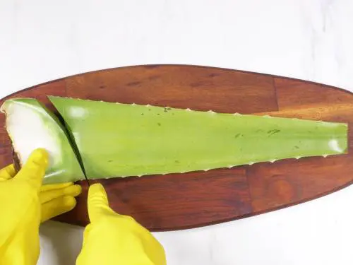 cut both ends of aloe leaf