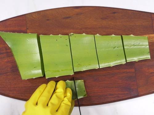 cut aloe vera to portions