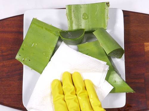 How to Make Aloe Vera Juice   Swasthi s Recipes - 29
