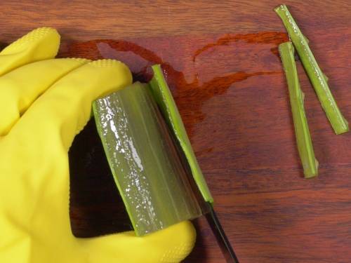 extract aloe vera gel from leaf