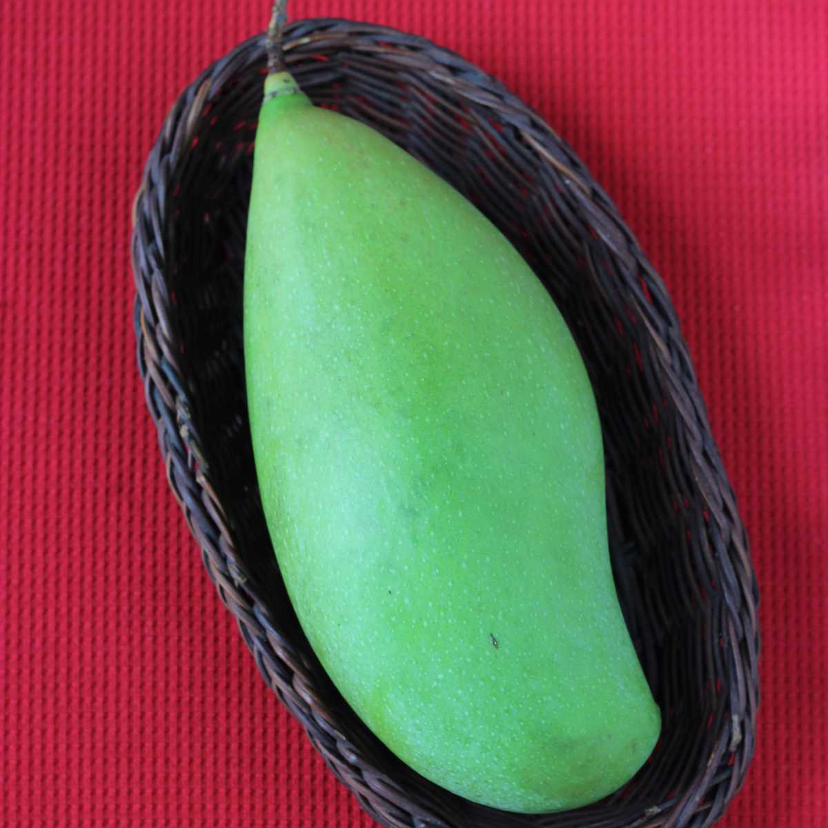 green mango used to make mango rice