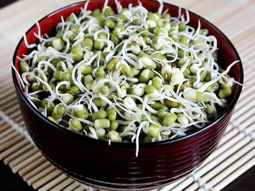 mung bean sprouts