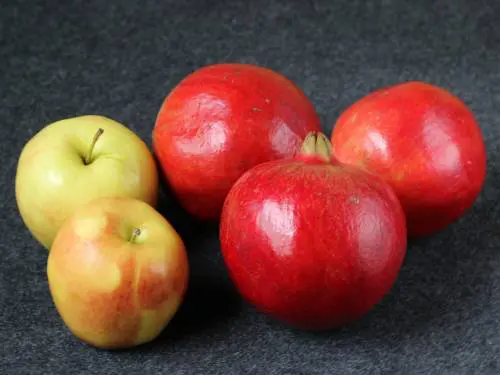 apple pomegranate juice