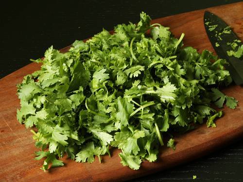 chop the coriander leaves 