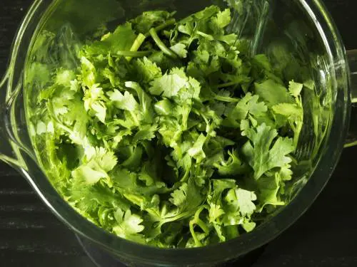 cilantro in a blender