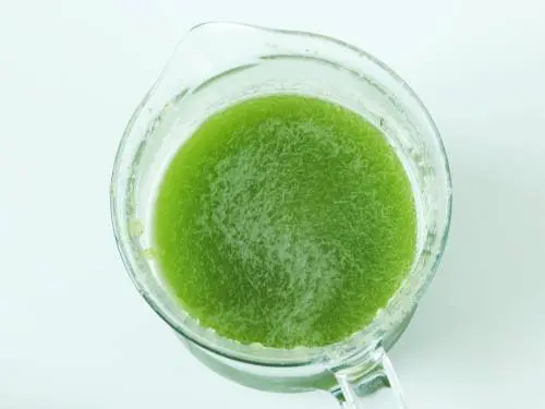 fresh cucumber juice in a picther