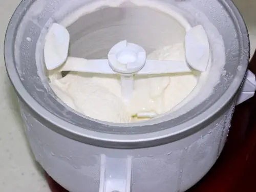 https://www.indianhealthyrecipes.com/wp-content/uploads/2022/09/kitchenaid-vanilla-ice-cream-recipe-009.jpg.webp