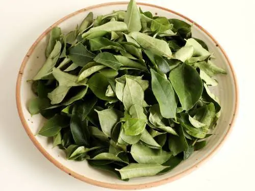 fresh curry leaves in a plate