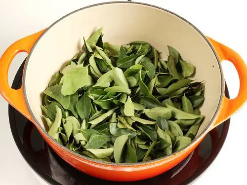 fry curry leaves