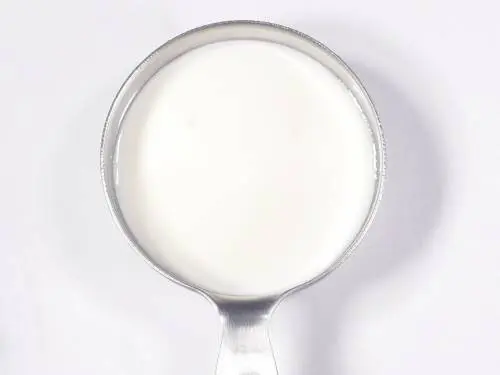 whisked yogurt / cultured cream