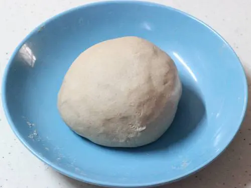 resting soft paratha dough 