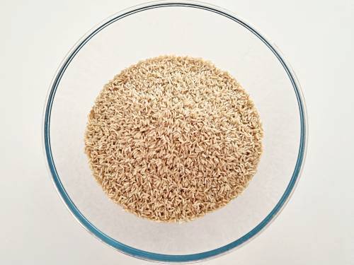 brown rice to make dosa