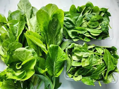 spinach and choy sum / mustard greens