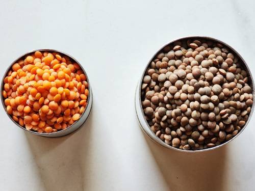 brown lentils in a cup