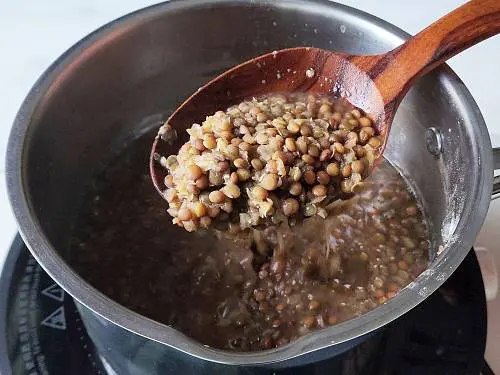 perfectly cooked brown lentils