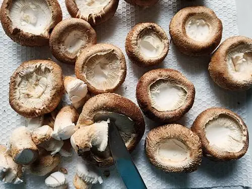shiitake mushrooms being trimmed