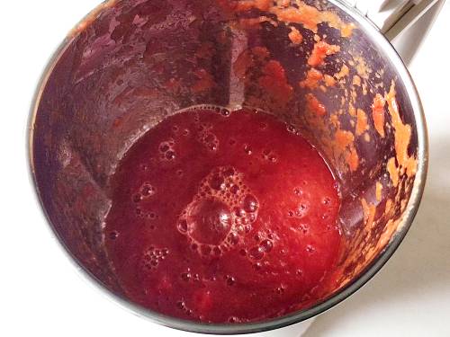 pureed veggies and tomatoes